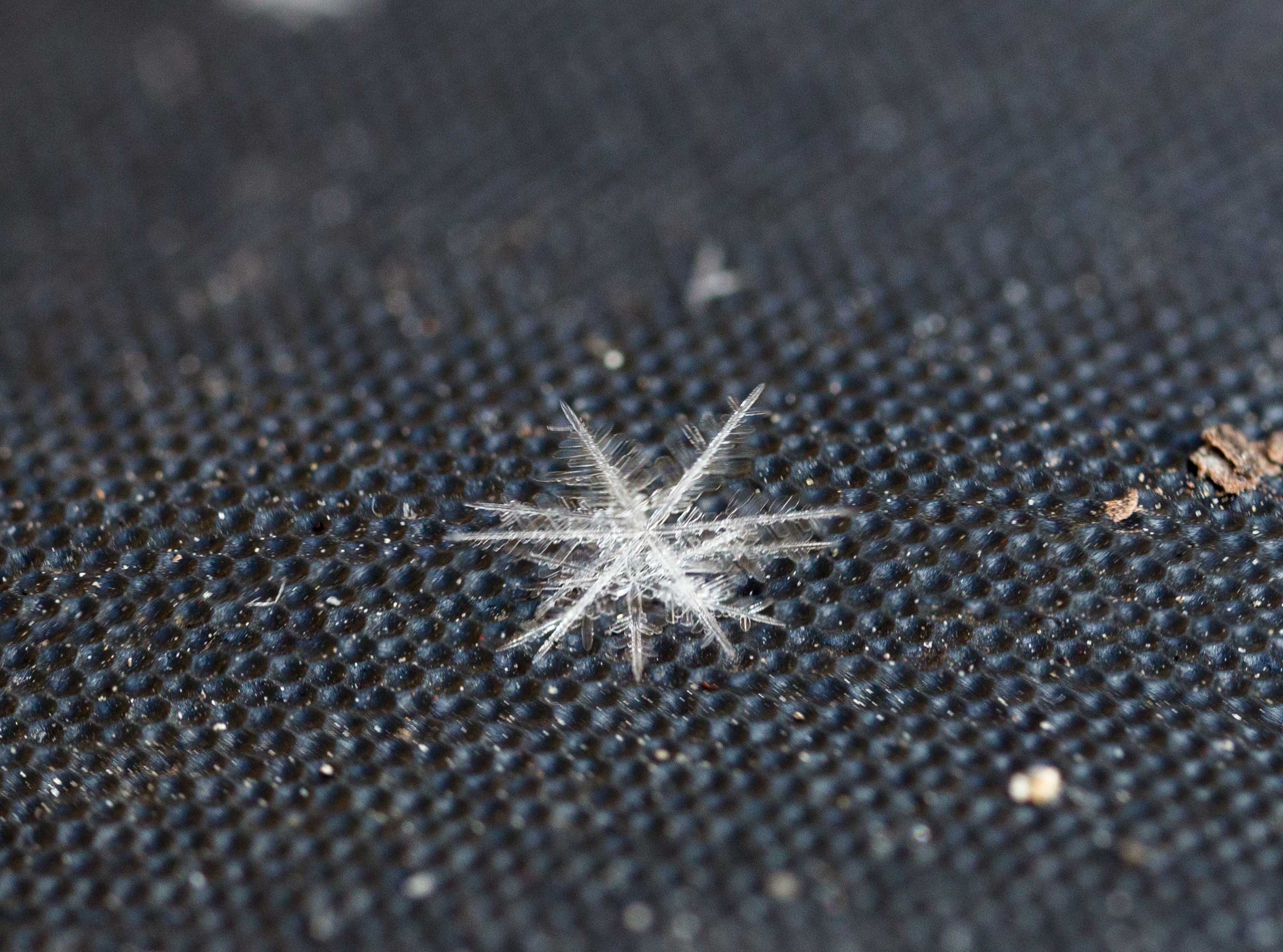 snowflake 1