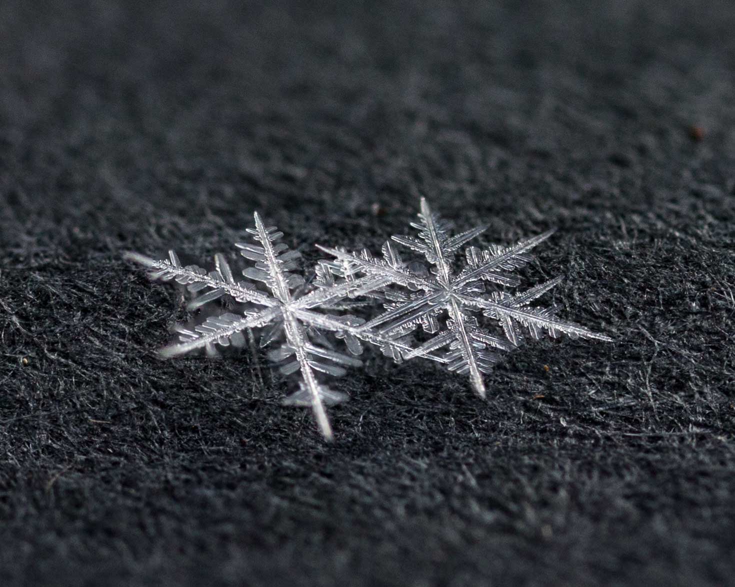 snowflake 4