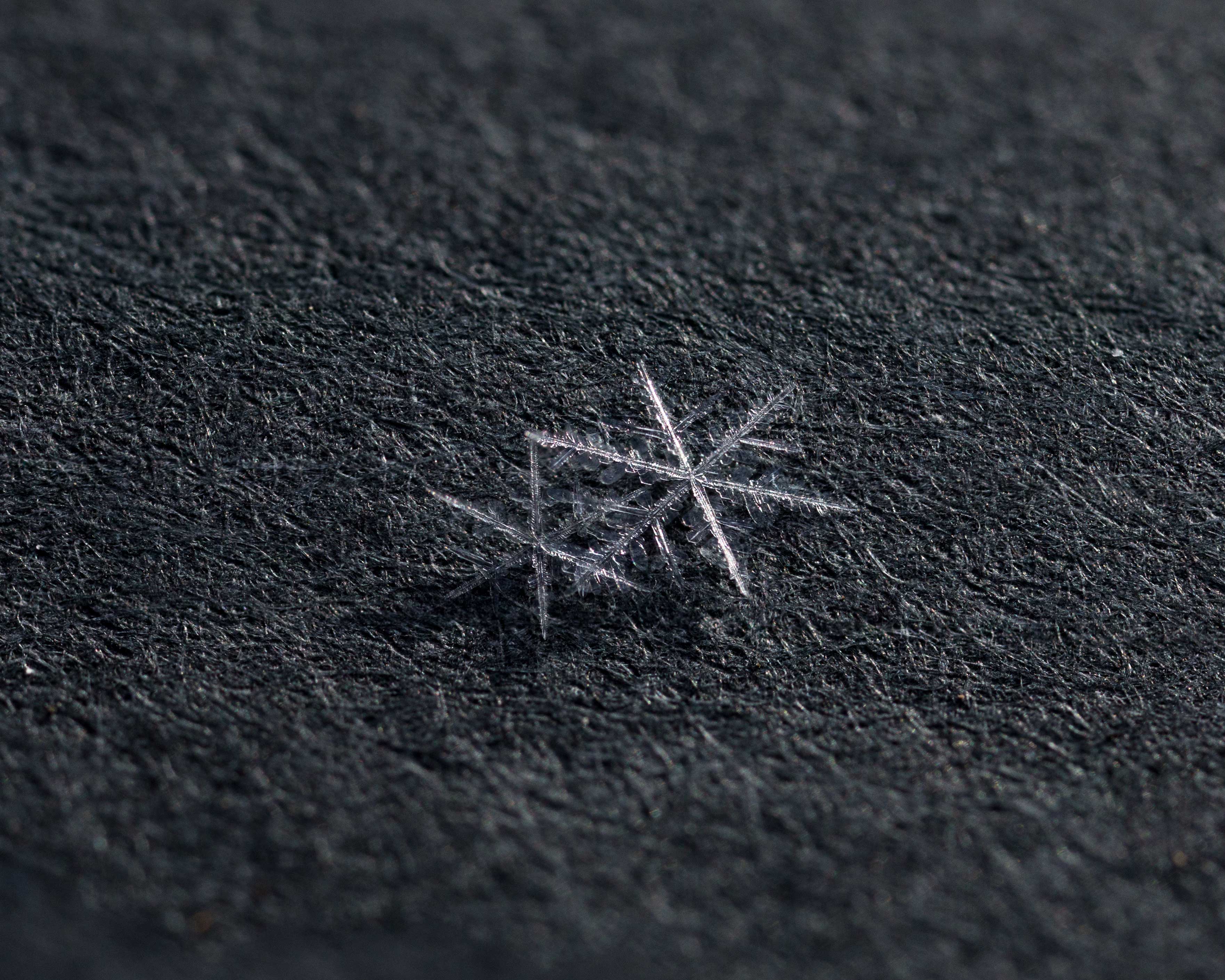 snowflake 9