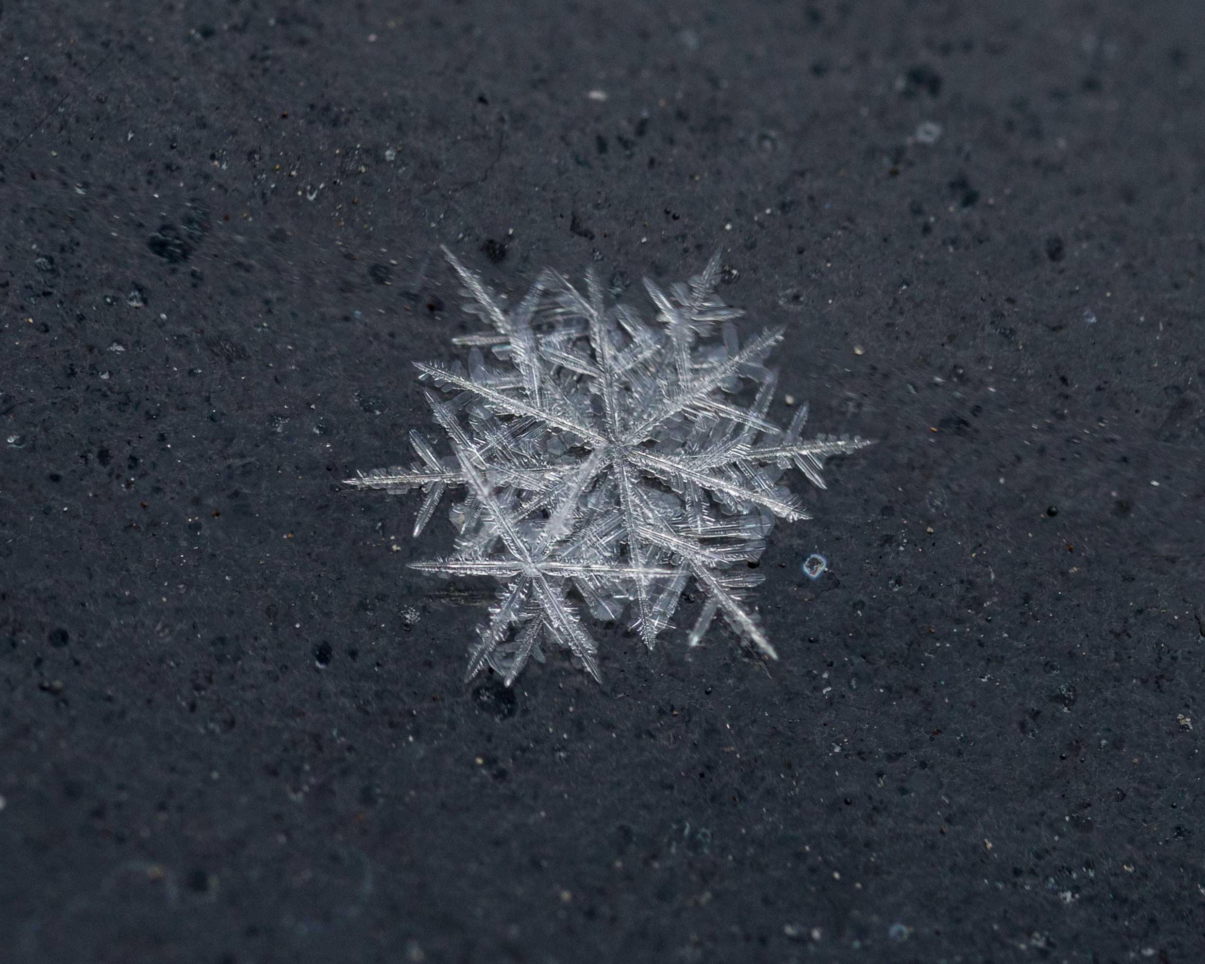 snowflake 11